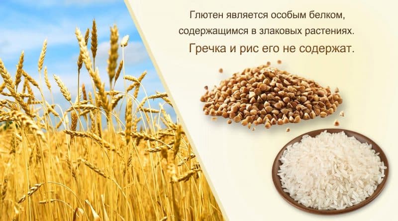 Hãy cẩn thận, gluten: nó có trong gạo không?