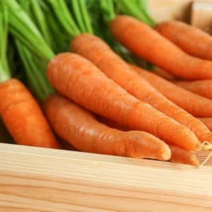 Conservation des carottes en hiver : les meilleures variétés avec une excellente qualité de conservation