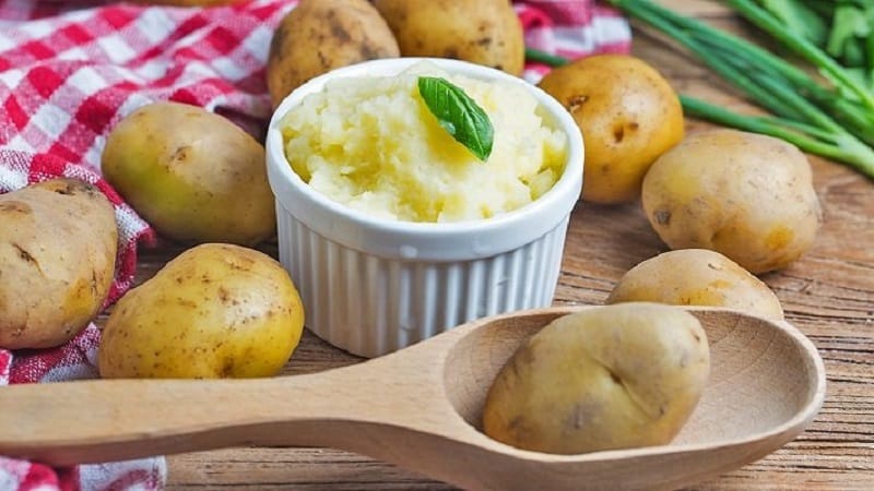 The ideal potato variety for mashed potatoes