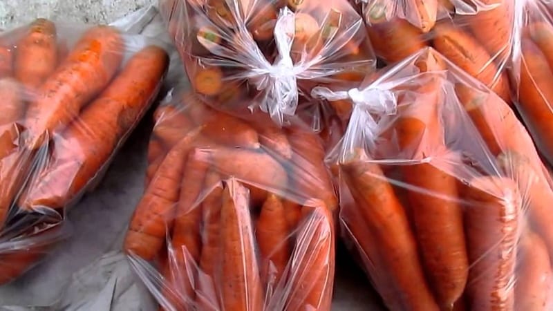 The best ways to store carrots after harvest until spring