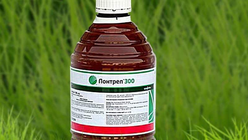 How to choose the right herbicide for corn and process it: a review of the best products