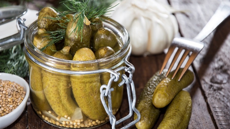 How to properly prepare pickled cucumbers without sterilization for the winter