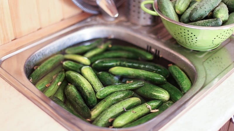 How to properly prepare pickled cucumbers without sterilization for the winter