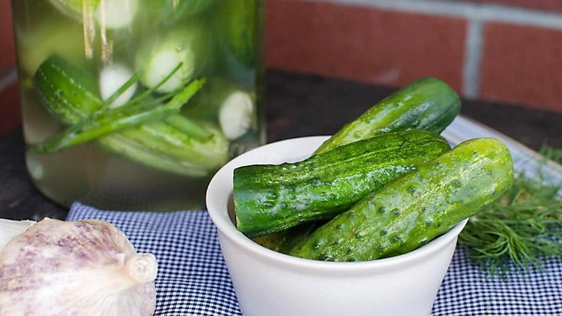 Top 10 best recommendations: how to cold pickle lightly salted cucumbers in a saucepan