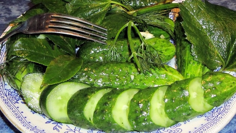 Les 10 millors recomanacions: com refredar cogombres lleugerament salats en una cassola