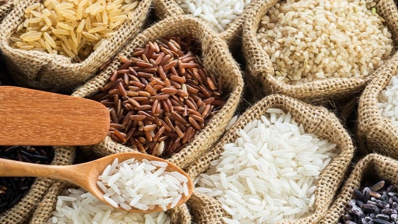 ¿Qué tipos de arroz existen y cuáles son sus características?