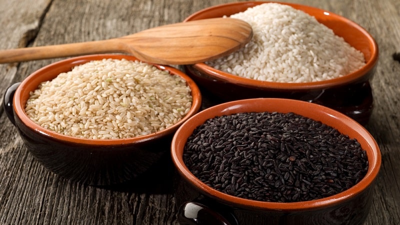 ¿Qué tipos de arroz existen y cuáles son sus características?