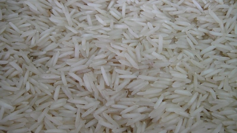 What types of rice are there and what are their characteristics?