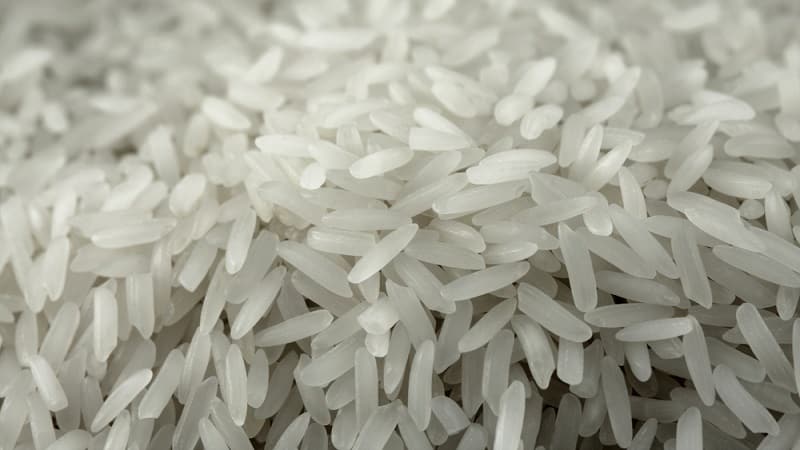 What types of rice are there and what are their characteristics?