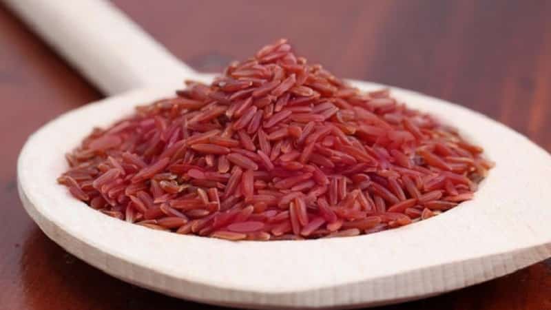 ¿Qué tipos de arroz existen y cuáles son sus características?