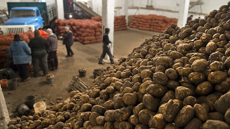 Wat is de aardappelopbrengst per 1 hectare en hoe kan deze worden verhoogd?