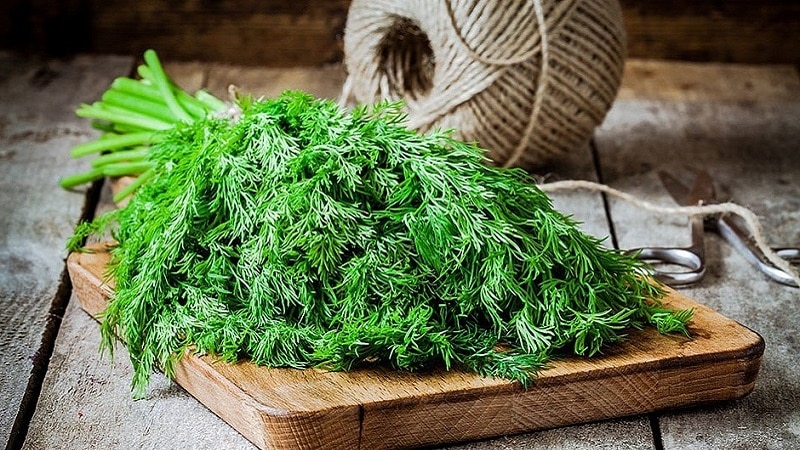 Berapa banyak kalori dalam 100 gram dill?