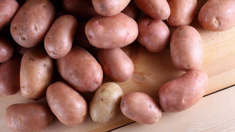 Ang pinakamahusay na mga varieties ng patatas: Naiad, Madeira, Chaika at iba pa