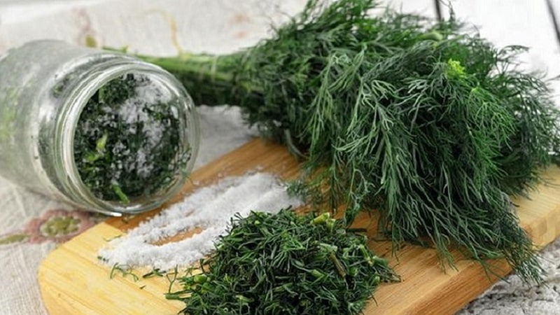 The best recipes for dill preparations for the winter