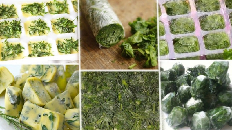 The best recipes for dill preparations for the winter