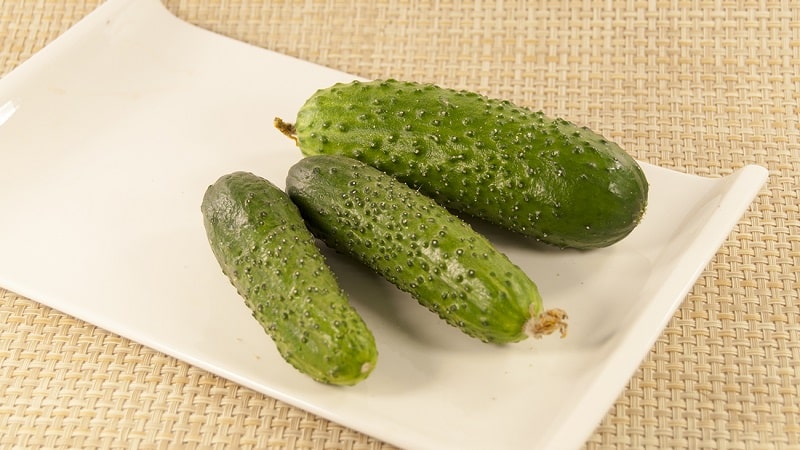 The best self-pollinating varieties of cucumbers for greenhouses in the Urals