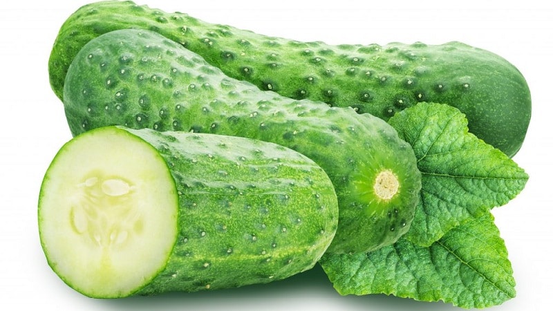 The best self-pollinating varieties of cucumbers for pickling and canning