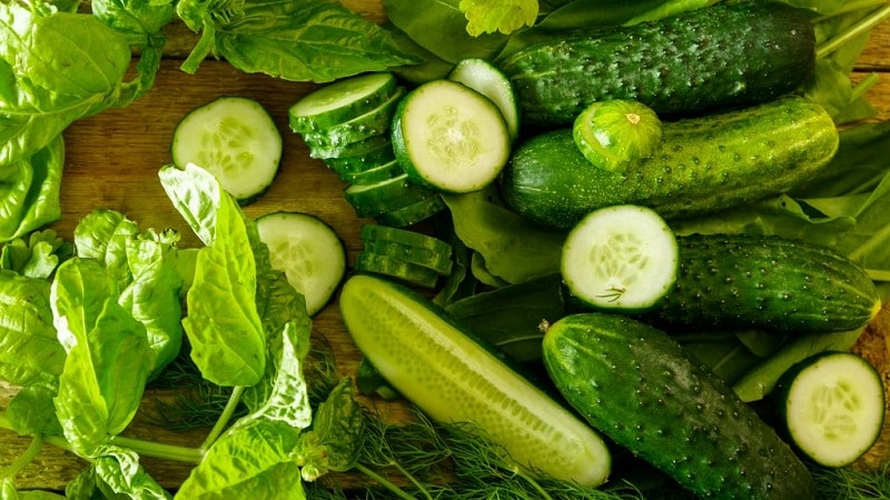 The best self-pollinating varieties of cucumbers for pickling and canning