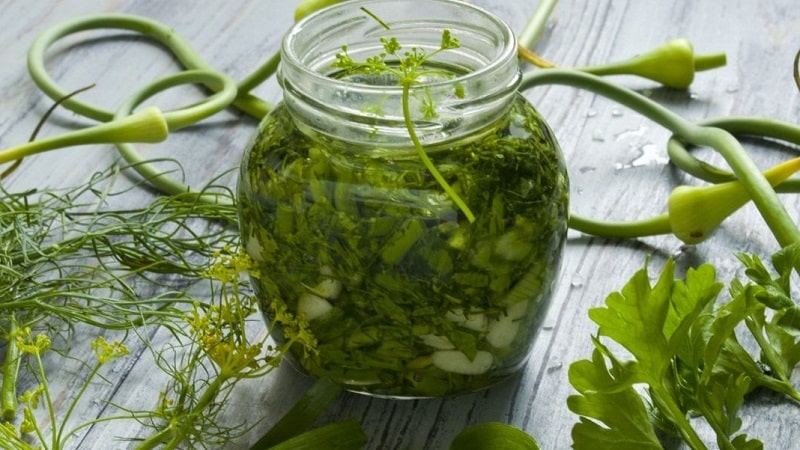 The best ways to prepare parsley for the winter in dry, frozen and canned form