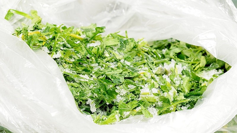 The best ways to prepare parsley for the winter in dry, frozen and canned form