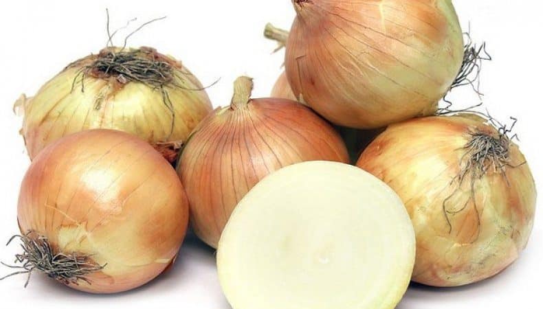 High-yielding onion hybrid para sa pangmatagalang imbakan Corrado