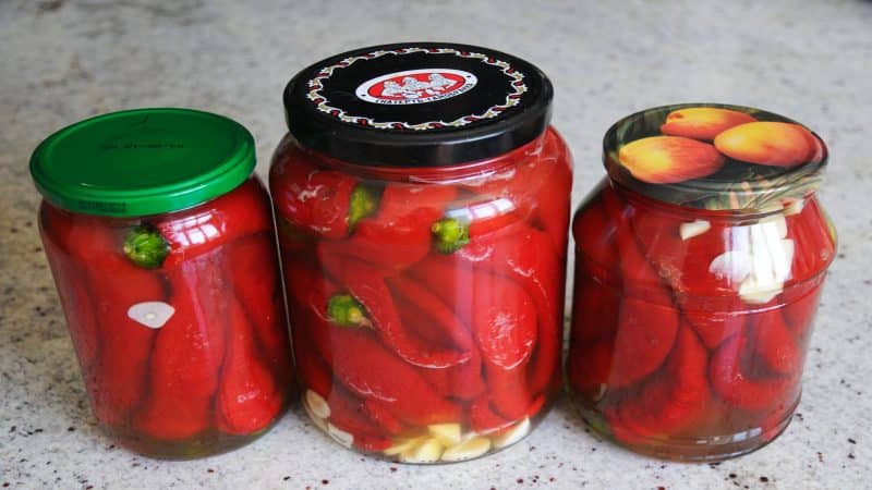 DIY savory snacks: preparing pickled hot peppers for the winter with butter