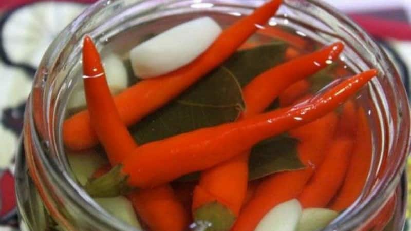 Aperitivos salados caseros: preparación de pimientos picantes en escabeche para el invierno con mantequilla