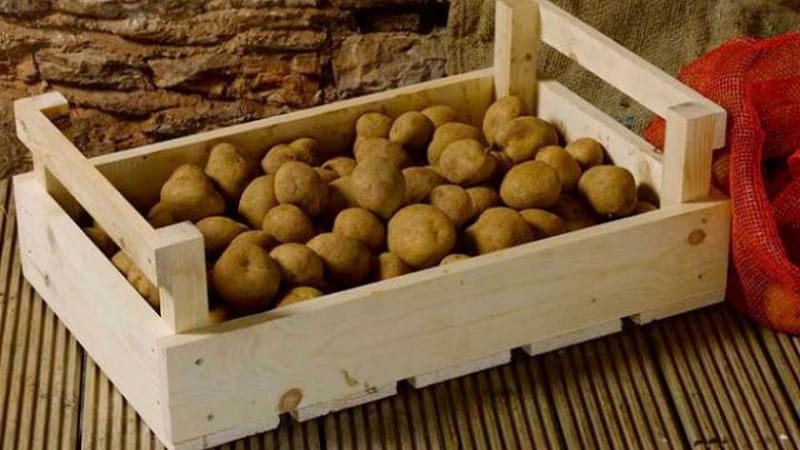 Mètodes per emmagatzemar les patates a casa