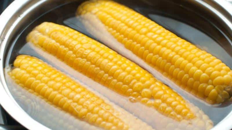 Is it possible to eat boiled corn while losing weight: calories, benefits and harm in the fight against extra pounds