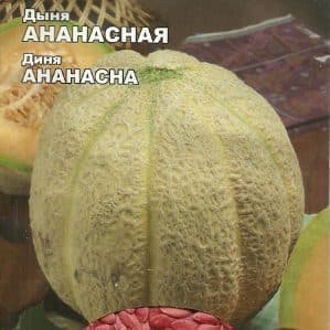 Ar ananāsiem sakrustotas melones apraksts un īpašības: kā garšo miniauglis?