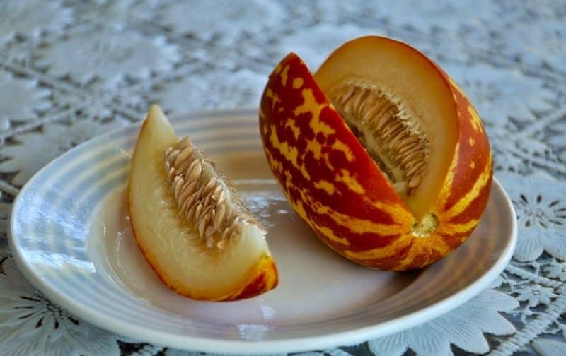 Ar ananāsiem sakrustotas melones apraksts un īpašības: kā garšo miniauglis?