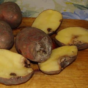 Caratteristiche di conservazione delle patate: a quale temperatura si congelano?