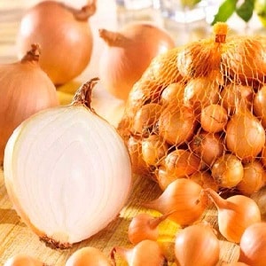 Features and schemes for planting onions in the fall before winter