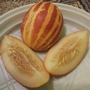 Bakit kulay pink ang melon sa loob at pwede bang kainin ito?