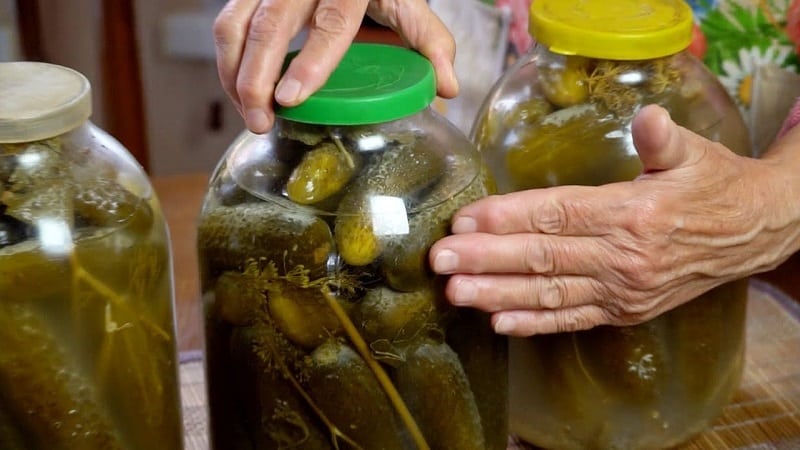 Per què pot aparèixer floridures als cogombres en vinagre i què fer-hi