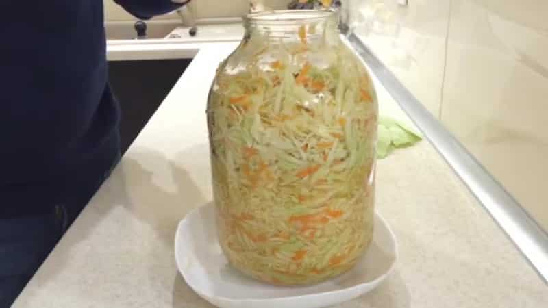 A selection of the best recipes for sauerkraut in its own juice