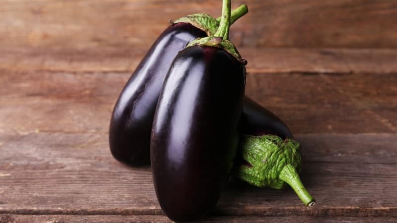 Et udvalg af de bedste sorter af aubergine til et polycarbonat drivhus