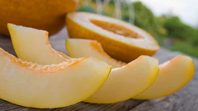 The benefits and harms of melon for the body