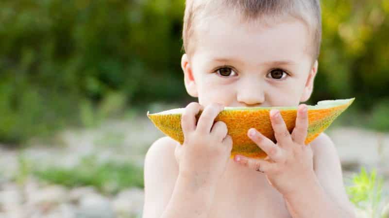 Fordelene og skaderne ved melon for kroppen