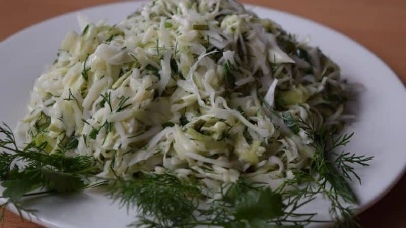 Pilihan resipi terbaik untuk sauerkraut dengan dill dan bijinya