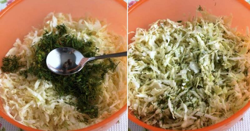 Eine Auswahl der besten Rezepte für Sauerkraut mit Dill und seinen Samen