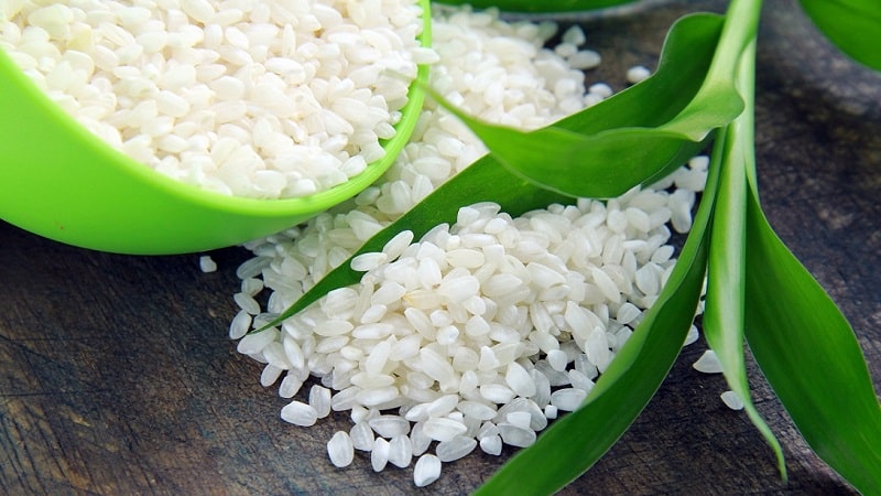 How much starch is in rice and is it there at all?