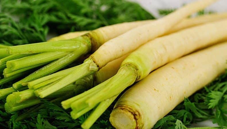 Varieties of white carrots and their beneficial properties for the human body