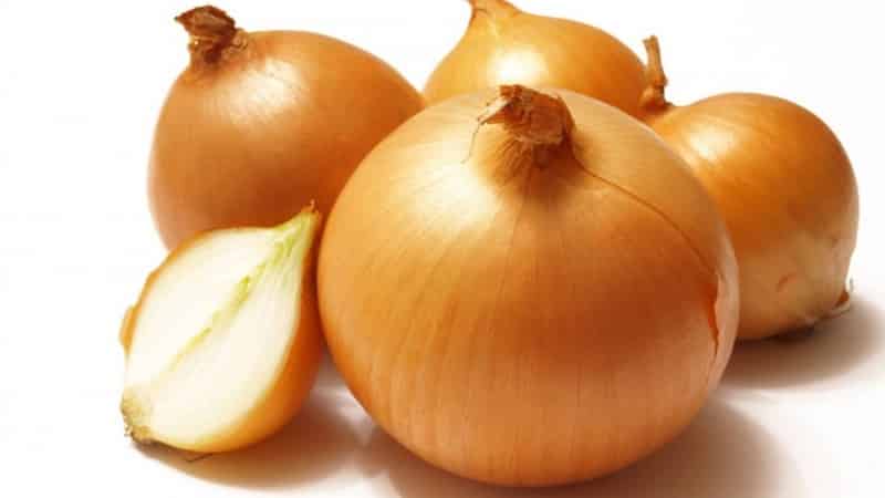 Mid-early onion hybrid Helenas na may mataas na ani