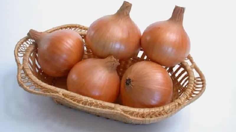 Mid-early onion hybrid Helenas na may mataas na ani