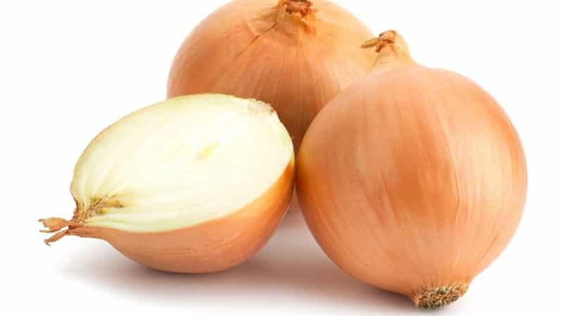 Mid-early onion hybrid Helenas na may mataas na ani