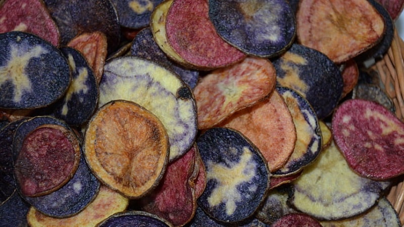 Amazing colored potatoes: varieties and their beneficial properties