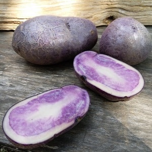 Amazing colored potatoes: varieties and their beneficial properties