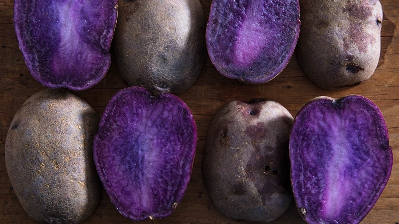 Patates de colors sorprenents: varietats i les seves propietats beneficioses