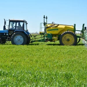 Fertilizers for winter wheat: what to feed in the fall